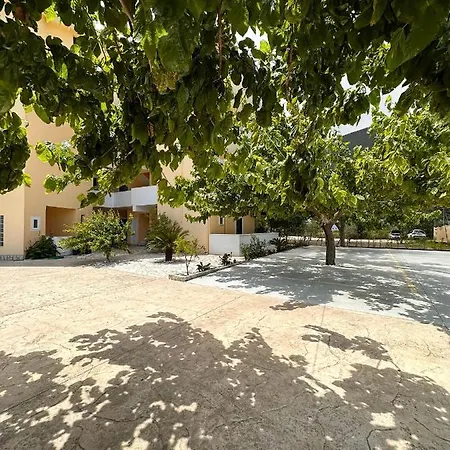 Odyssion Hotel 3*
