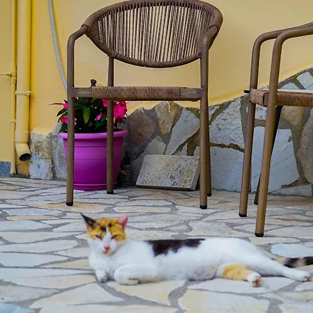 Hotel Odyssion